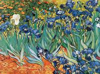 PGM Vincent Van Gogh - Iris Kunstdruk 80x60cm