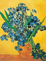 PGM Vincent Van Gogh - Les iris Kunstdruk 60x80cm