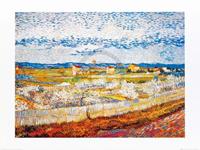 PGM Vincent Van Gogh - Pesco in fiore Kunstdruk 80x60cm