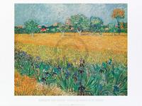 PGM Vincent Van Gogh - Vista di Arles Con Irises Kunstdruk 80x60cm