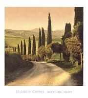 PGM Elisabeth Carmel - Country Lane, Tuscany Kunstdruk 45x50cm
