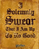 GBeye Harry Potter I Solemnly Swear Poster 40x50cm