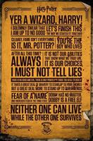GBeye Harry Potter Quotes Poster 61x91,5cm