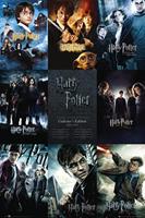 GBeye Harry Potter Collection Poster 61x91,5cm