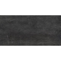 Praxis Wand- en vloertegel Beton antraciet 30,5x61cm