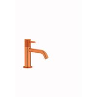 Plieger Roma 1-gats toiletkraan met vaste uitloop geborsteld koper ID458 BRUSHED COPPER