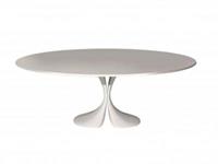driade Didymos Tisch  Maße: 180x126cm Material: Cristalplant