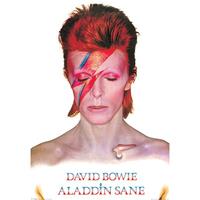 Pyramid David Bowie Aladdin Sane Poster 61x91,5cm