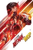 Pyramid Ant-Man and the Wasp One Sheet Poster 61x91,5cm