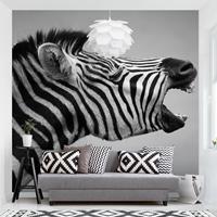 Klebefieber Fototapete Brüllendes Zebra II