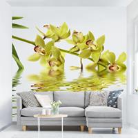 Klebefieber Fototapete Elegant Orchid Waters