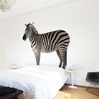 Klebefieber Fototapete Dickes Zebra