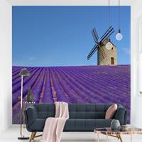 Klebefieber Blumentapete Lavendelduft in der Provence