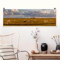 Panorama Poster Tiere Nordsee Leuchtturm mit Schafsherde