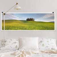 Panorama Poster Natur & Landschaft Grünes Feld in Toskana