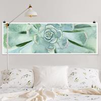 Klebefieber Panorama Poster Blumen Sukkulente Aquarell Hell