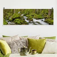 Klebefieber Panorama Poster Natur & Landschaft Moosbedeckte Steine Schweiz