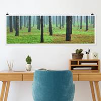 Klebefieber Panorama Poster Wald Tiefer Wald mit Kiefern auf La Palma