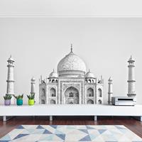 Klebefieber Fototapete Taj Mahal in Grau