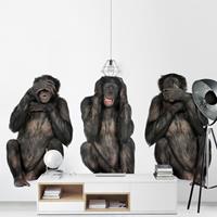Klebefieber Fototapete Tiere Three Wise Monkeys