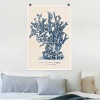 Klebefieber Poster Blumen Meereskorallen Studie II