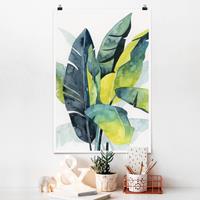 Klebefieber Poster Blumen Tropisches Blattwerk - Banane
