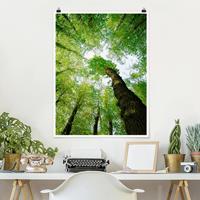 Klebefieber Poster Wald Bäume des Lebens