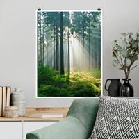 Klebefieber Poster Wald Enlightened Forest