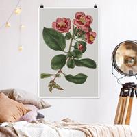 Klebefieber Poster Blumen Florale Schmuckstücke I