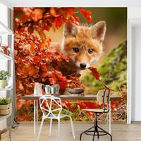 Klebefieber Fototapete Tiere Fuchs im Herbst