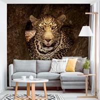 Bilderwelten Fototapete Leopard ruht auf einem Baum