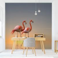 Klebefieber Fototapete Tiere Flamingo Love