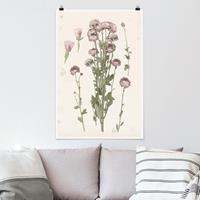 Klebefieber Poster Blumen Herbarium in rosa I
