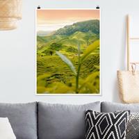 Klebefieber Poster Natur & Landschaft Teagarden