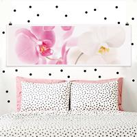 Klebefieber Panorama Poster Blumen Delicate Orchids