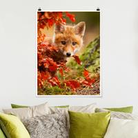 Klebefieber Poster Tiere Fuchs im Herbst