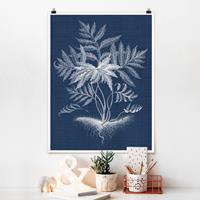 Klebefieber Poster Blumen Denim Pflanzenstudie IV