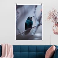 Klebefieber Poster Tiere Kolibri im Winter