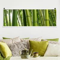 Klebefieber Panorama Poster Wald Bamboo Trees