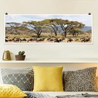 Klebefieber Panorama Poster Natur & Landschaft Gnuherde in der Savanne