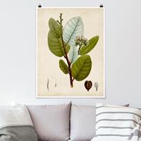 Klebefieber Poster Blumen Laubbaum Schautafel I