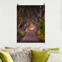 Klebefieber Poster Wald Tunnel aus Bäumen