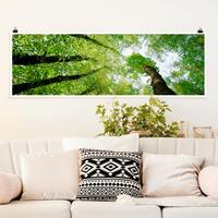Klebefieber Panorama Poster Wald Bäume des Lebens