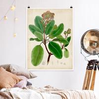 Klebefieber Poster Blumen Laubbaum Schautafel VI