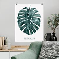 Klebefieber Poster Blumen Smaragdgrüne Monstera Deliciosa