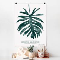 Klebefieber Poster Blumen Smaragdgrüner Philodendron Angustisectum