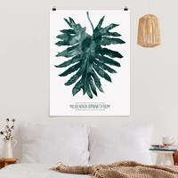 Klebefieber Poster Blumen Smaragdgrüner Philodendron Bipinnatifidum