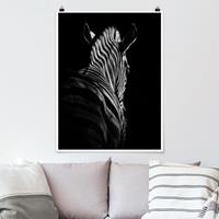 Klebefieber Poster Tiere Dunkle Zebra Silhouette