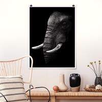 Klebefieber Poster Tiere Dunkles Elefanten Portrait