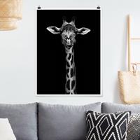 Klebefieber Poster Tiere Dunkles Giraffen Portrait